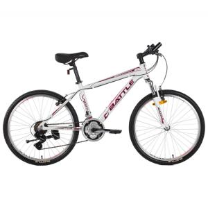 GG450 24IN OUTDOOR SPORTS BIKE